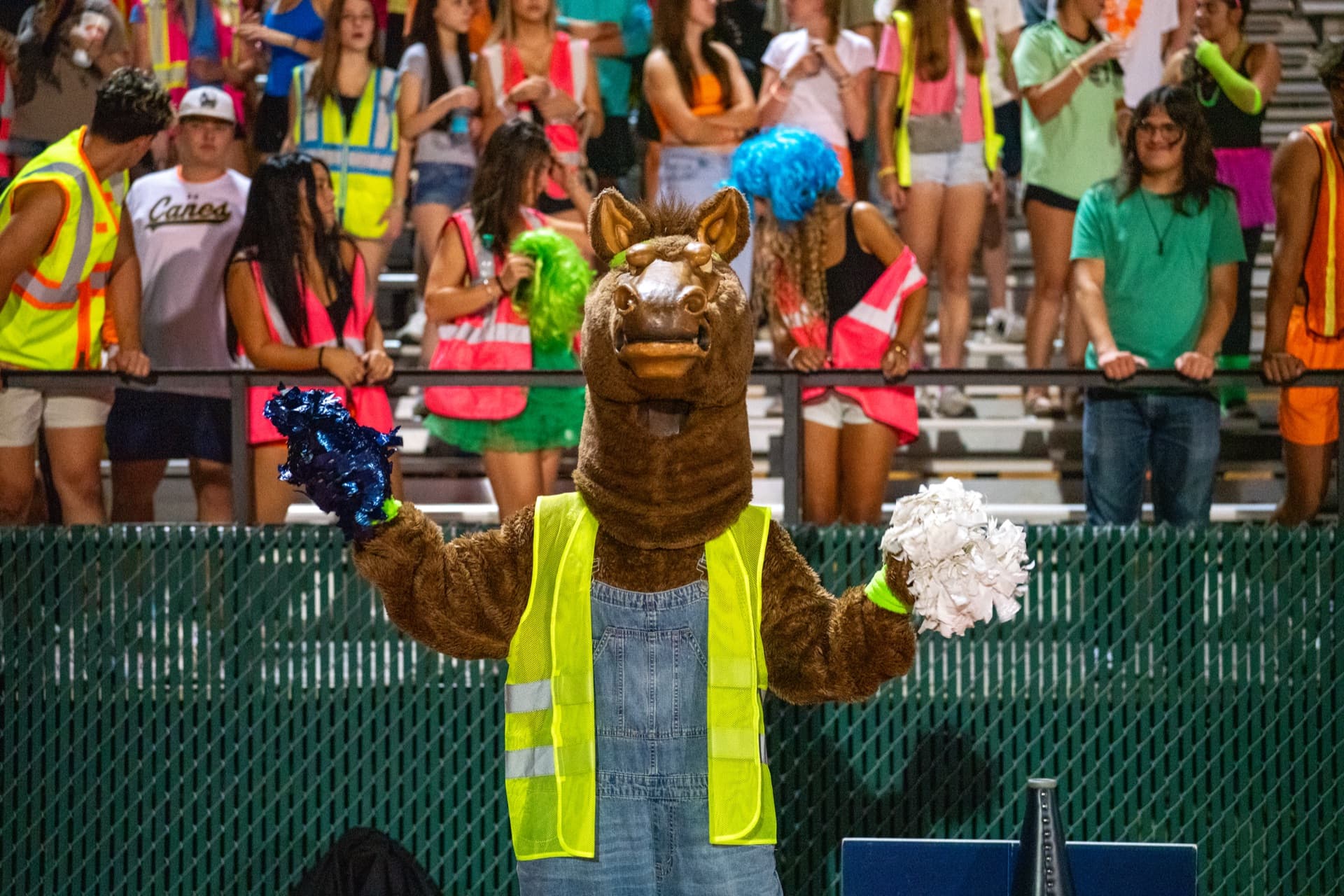 McNeil Mavericks mascot at a football game